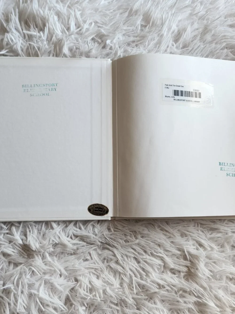 5/$10 - The Pain & The Great One by Judy Blume
